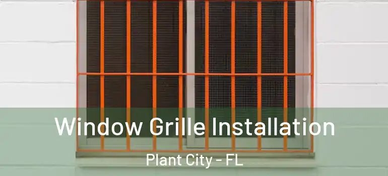  Window Grille Installation Plant City - FL