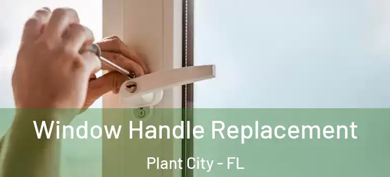  Window Handle Replacement Plant City - FL