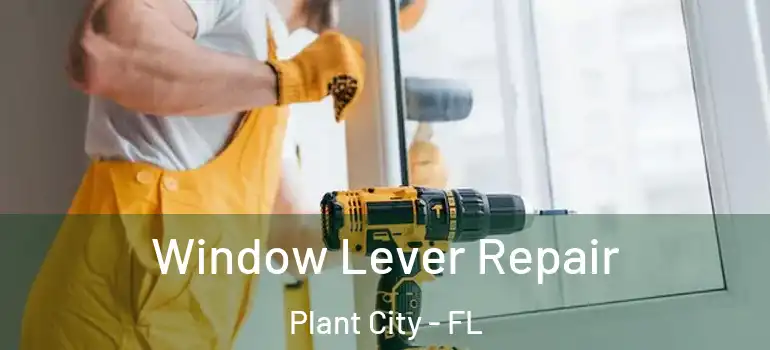  Window Lever Repair Plant City - FL