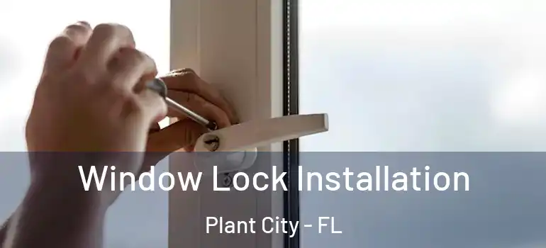  Window Lock Installation Plant City - FL
