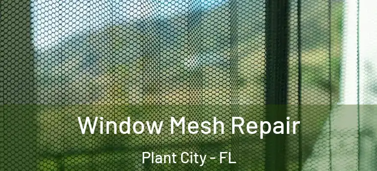  Window Mesh Repair Plant City - FL