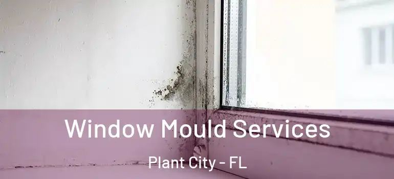  Window Mould Services Plant City - FL