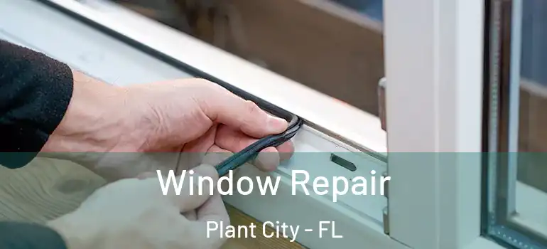  Window Repair Plant City - FL