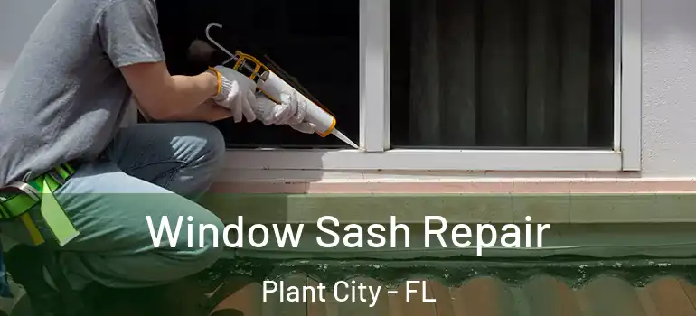  Window Sash Repair Plant City - FL