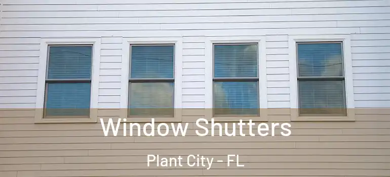  Window Shutters Plant City - FL