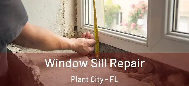 Window Sill Repair Plant City - FL