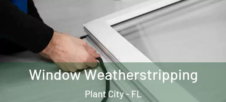  Window Weatherstripping Plant City - FL