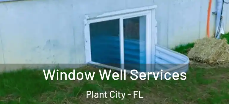  Window Well Services Plant City - FL