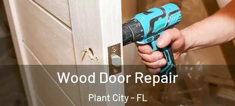  Wood Door Repair Plant City - FL